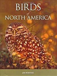 Birds of North America (Hardcover, 1st)