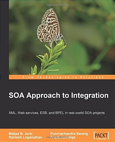 Soa Approach to Integration (Paperback)