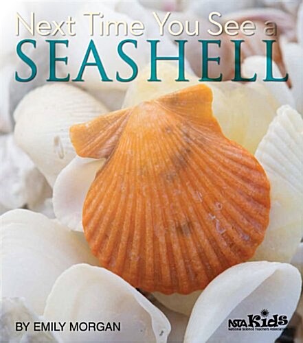 Next Time You See a Seashell (Hardcover)