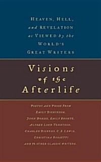Visions Of The Afterlife (Paperback)