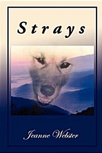 Strays (Paperback)