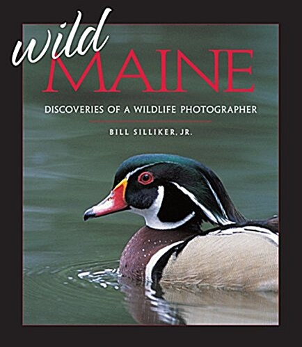 Wild Maine: Discoveries of a Wildlife Photographer (Paperback)
