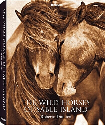The Wild Horses of Sable Island (Hardcover, English and Fre)
