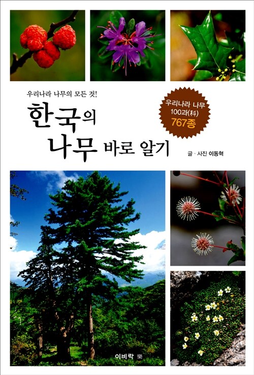 한국의 나무 바로알기 : 우리나라 나무의 모든 것!