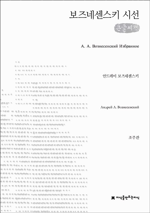 [큰글씨책] 보즈네센스키 시선