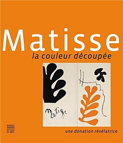 Matisse: Cutting Into Colour (Paperback)