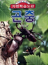 [중고] 자연학습도감 곤충