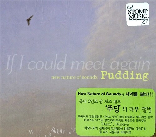 Pudding - If I Could Meet Again