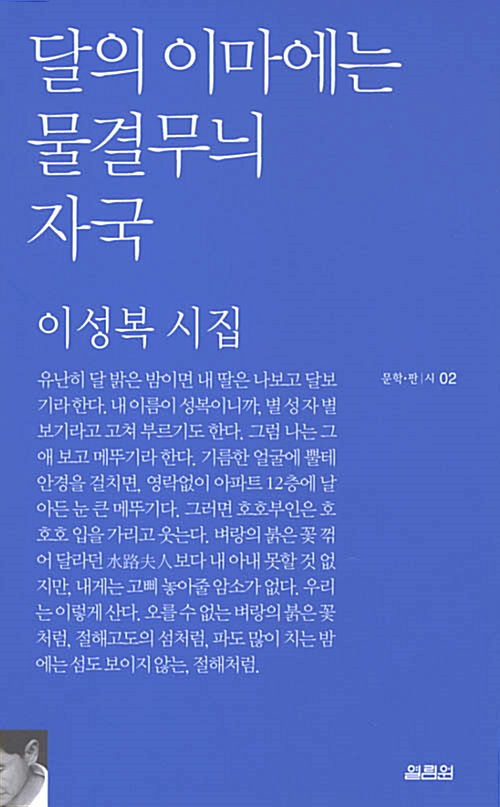 달의 이마에는 물결무늬 자국