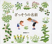 ざっそうの名前 (福音館の科學シリ-ズ) (單行本)