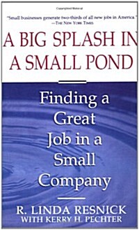 Big Splash in Small Pond (Paperback)