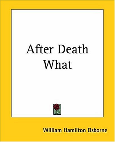 After Death What (Paperback)