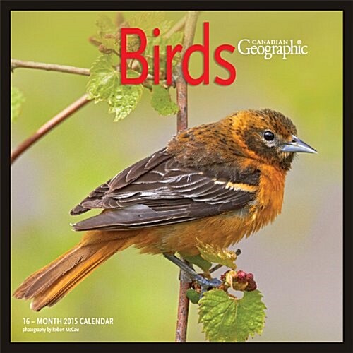Canadian Geographic Birds 2015 Calendar (Calendar, Wall)