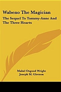 Wabeno the Magician: The Sequel to Tommy-Anne and the Three Hearts (Paperback)