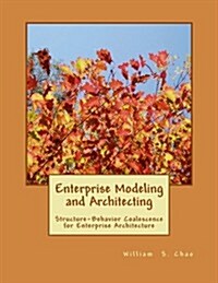 Enterprise Modeling and Architecting: Structure-Behavior Coalescence for Enterprise Architecture (Paperback)