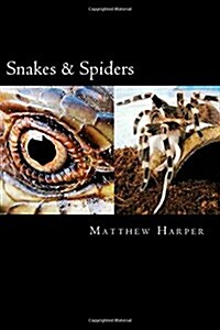 Snakes & Spiders: Two Fascinating Books Combined Containing Facts, Trivia, Images & Memory Recall Quiz: Suitable for Adults & Children (Paperback)