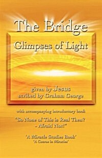 The Bridge - Glimpses of Light (Paperback)