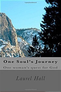 One Souls Journey (Paperback)