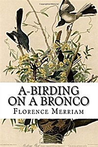 A-birding on a Bronco (Paperback)