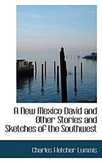 A New Mexico David and Other Stories and Sketches of the Southwest (Hardcover)