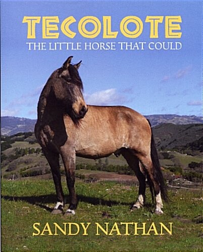 Tecolote: The Little Horse That Could (Paperback)