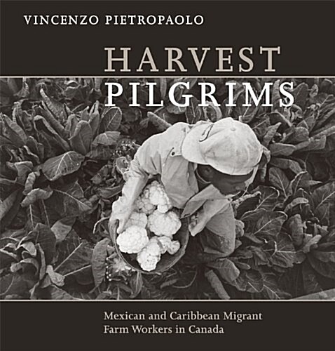 Harvest Pilgrims (Paperback)