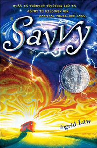 Savvy (Paperback)