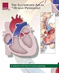 The Illustrated Atlas of Human Physiology: A Collection of 20 Anatomical Charts of Human Physiology (Paperback)