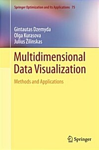 Multidimensional Data Visualization: Methods and Applications (Paperback, 2013)