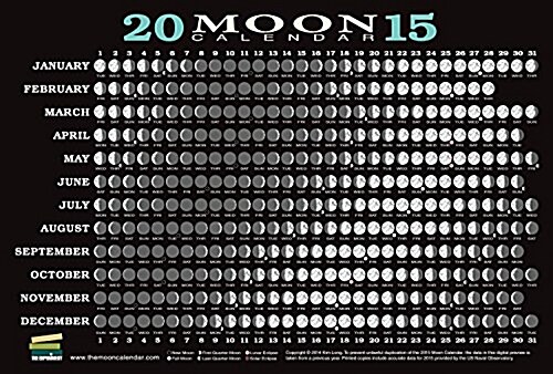 2015 Moon Calendar Card (20 Pack): Lunar Phases, Eclipses, and More! (Other)