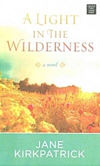 A Light in the Wilderness (Hardcover)