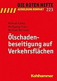 Olschadenbeseitigung Auf Verkehrsflachen (Paperback)