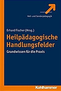 Heilpadagogische Handlungsfelder: Grundwissen Fur Die Praxis (Paperback)