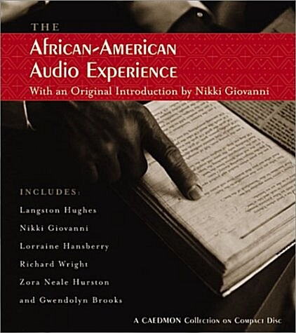 African American Audio Experience (Audio CD)