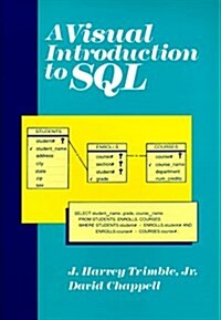 A Visual Introduction to SQL (Paperback, 1st)