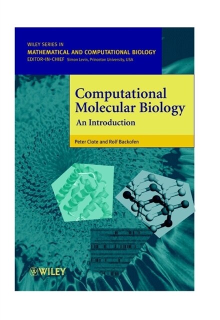 Computational Molecular Biology: An Introduction (Paperback)