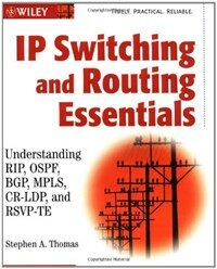 IP switching and routing essentials : understanding RIP, OSPF, BGP, MPLS, CR-LDP, and RSVP-TE
