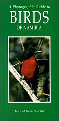 A Photographic Guide to the Birds of Namibia (Paperback)