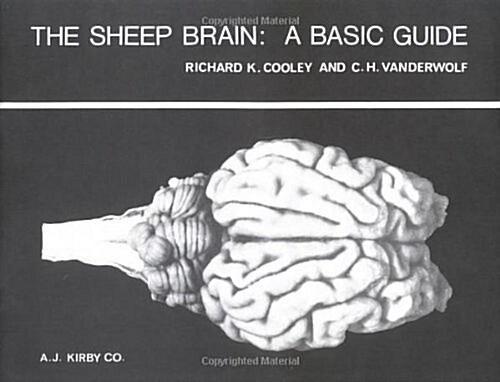 The Sheep Brain (Paperback)