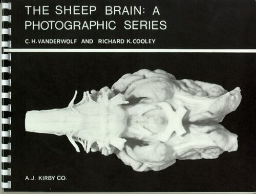The Sheep Brain (Paperback, 2ND)