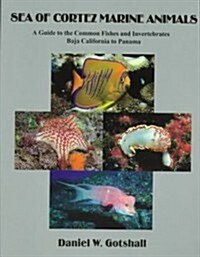 Sea of Cortez Marine Animals (Paperback)