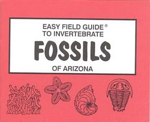 Easy Field Guide to Invertebrate Fossils of Arizona (Uk) (Paperback, UK)
