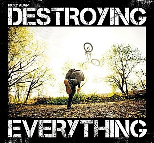 Destroying Everything...Seems Like the Only Option (Hardcover)
