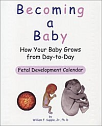 Becoming a Baby: How Your Baby Grows from Day-to-Day (Paperback)