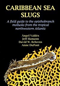 Caribbean Sea Slugs (Paperback)
