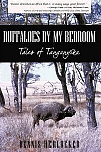 Buffaloes by My Bedroom (Paperback)