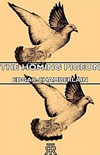 The Homing Pigeon (Hardcover)