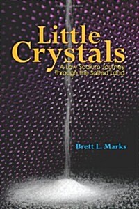 Little Crystals: A Low Sodium Journey Through the Salted Land (Paperback)