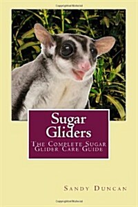 Sugar Gliders: The Complete Sugar Glider Care Guide (Paperback)