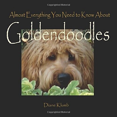 Almost Everything You Need to Know About Goldendoodles (Paperback)